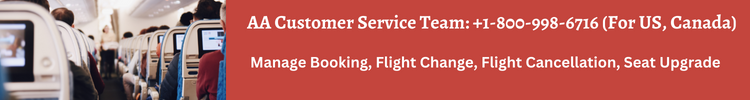 american airlines help number